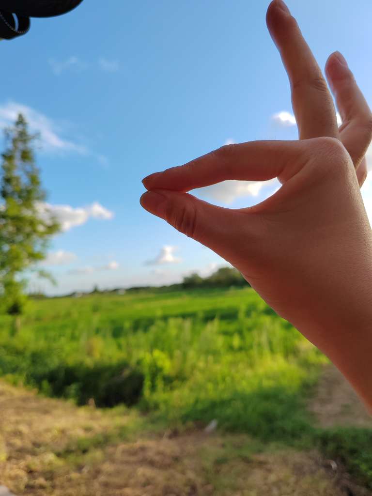 pic